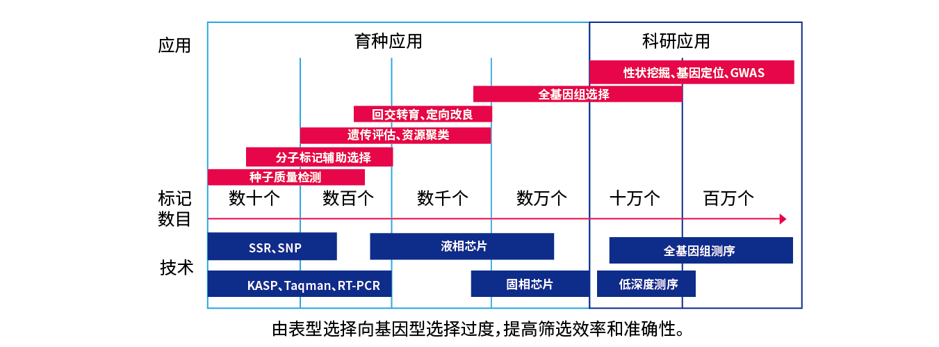 截图-20240718160350