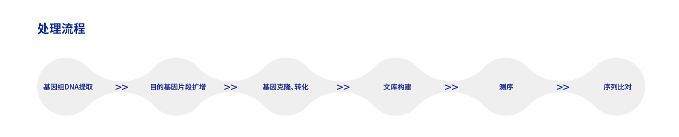 截图-20240718111703