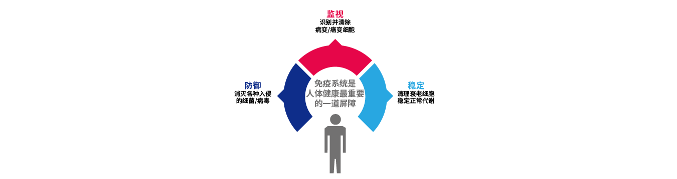 截图-20240718151713